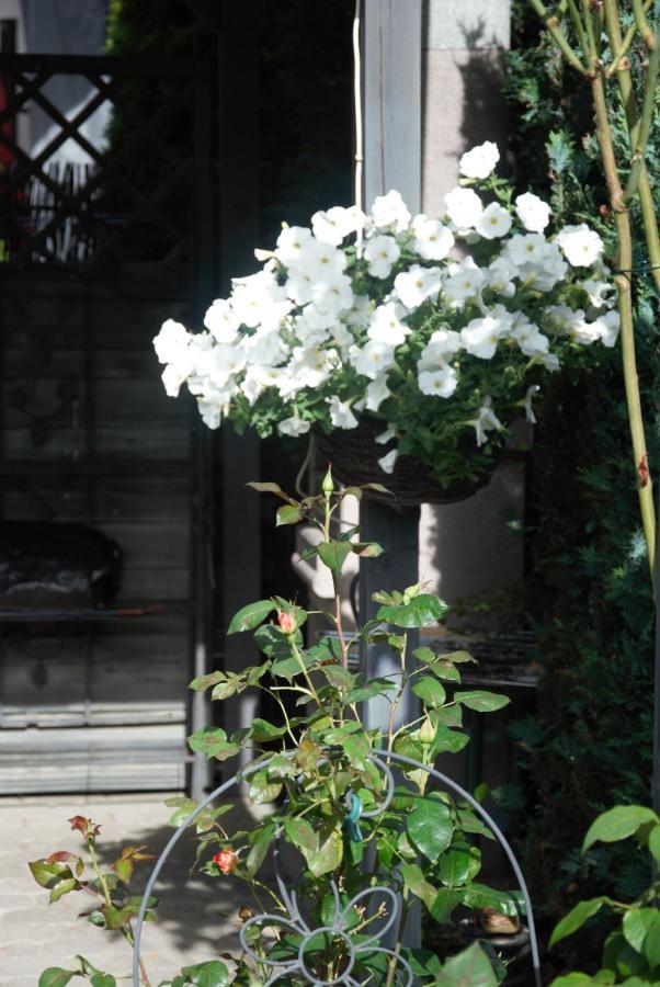 Silver Rowy Rowy  Exterior foto